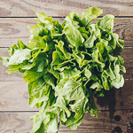 Roquette  - copie.jpg