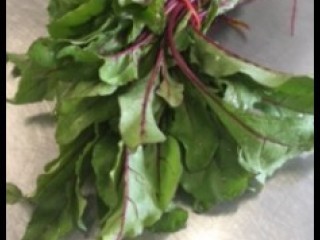 VERDURES DE BETTERAVES PETITE.JPG