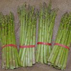 Asperges.JPG