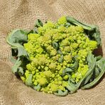 Choux-fleur_romanesco.jpg