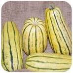 Courge_delicata.jpg