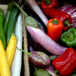 AUBERGINES_COURGETTES_POIVRONS.jpg