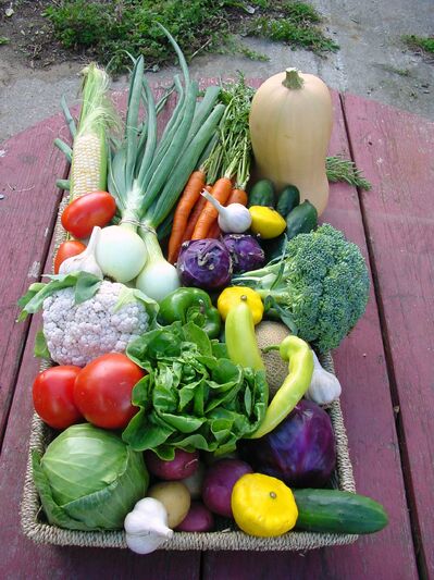 legumes_table.jpg